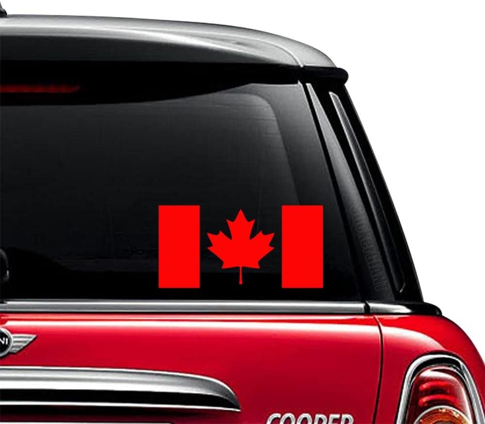 61WUbimTtkL._AC_SL1000_ (1)