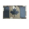 Canada Laser MTC
